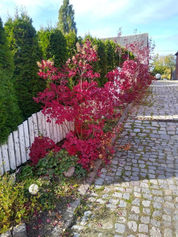 Zajazd Eljan-Centrum Noclegowe Olsztyn  Exterior foto